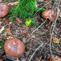 20250928_112052-EDIT