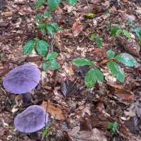 20250928_112345-EDIT