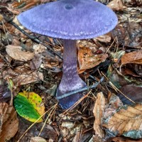 20250928_112402-EDIT