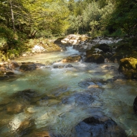 dscn1392