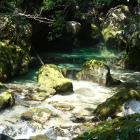 dscn1442