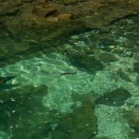 dscn1187