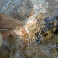 dscn1196